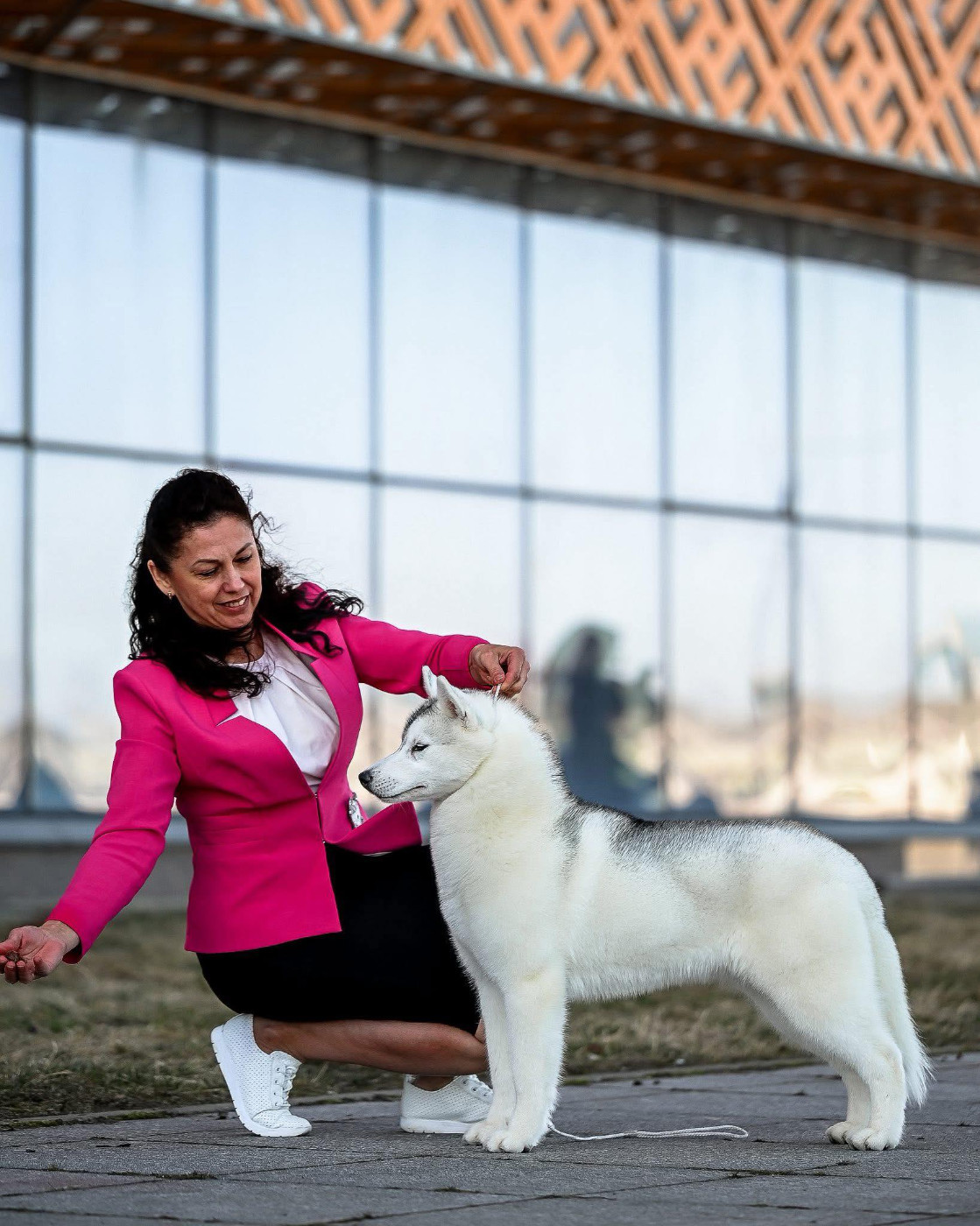 blissful embrace quina zaria